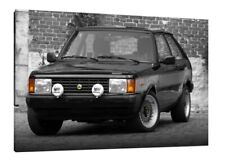 Lotus sunbeam 30x20 for sale  UK