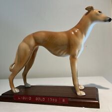 Large elite greyhound for sale  BIRMINGHAM