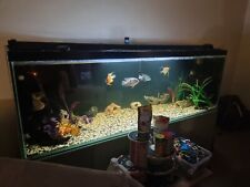 6ft fish tank for sale  FERNDOWN