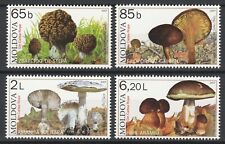 Selos de cogumelos 4 MNH da Moldávia 2007, usado comprar usado  Enviando para Brazil