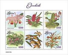 Liberia - 2022 Orchid Flowers, Cattleya - 4 Stamp Sheet - LIB220105a for sale  Shipping to South Africa