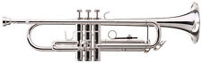 Ware trompete blasinstrumente gebraucht kaufen  Schongau