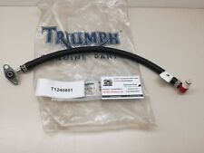 T1240851 originale triumph usato  Conversano