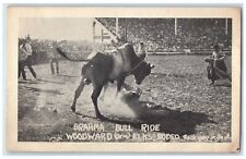 C1930 brahma bull for sale  Terre Haute