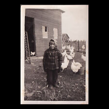 Foto antiga vintage menina na fazenda de galinheiro 1939, usado comprar usado  Enviando para Brazil