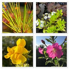 Pond plants free for sale  CANNOCK