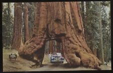 Yosemite vintage redwood for sale  Fort Lauderdale