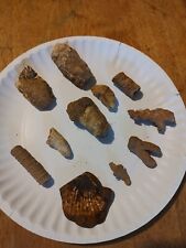 Souther indiana fossils for sale  Georgetown