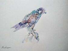 Hawk bird watercolor for sale  Shipping to Canada