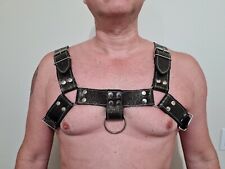 male leather harness for sale  Eagle Pass