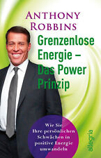 Powerprinzip grenzenlose energ gebraucht kaufen  Langerwehe