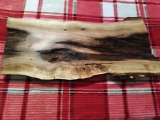 Live Edge River Birch Slab With Rot    Epoxy River Charcuterie #313 for sale  Shipping to South Africa