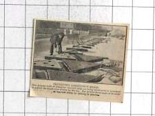 1924 Triangular Concrete Slab Groynes Constructed At Lowestoft, used for sale  Shipping to South Africa