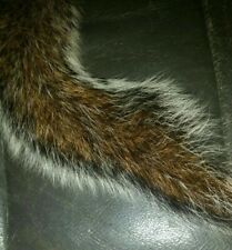 Dried grey squirrel for sale  NEWCASTLE UPON TYNE