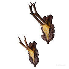 A Pair Antique Black Forest Deer Trophies on Wooden Plaques 1900s for sale  Shipping to South Africa