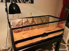 terrarium 90x45x45 d'occasion terrarium 90x45x45 d'occasion Vitry-sur-Seine