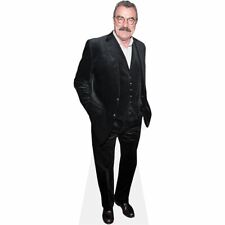 Tom selleck pappaufsteller gebraucht kaufen  Mittelfeld