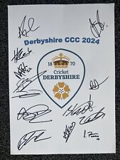 Derbyshire county cricket for sale  HUDDERSFIELD