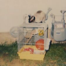 Vintage polaroid photo for sale  Seal Rock