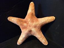 dried starfish for sale  ROCHDALE
