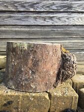 Burr log stump for sale  WORCESTER