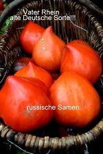 Deutsche tomaten vater gebraucht kaufen  Rostock