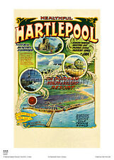 Hartlepool healthful vintage for sale  NEWCASTLE UPON TYNE