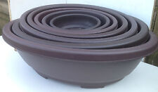 Brand New Plastic Oval Bonsai Pots - 7 SIZES - YOU CHOOSE, used for sale  LUTTERWORTH