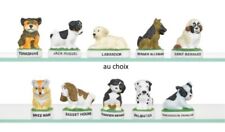 2016 chiots chien d'occasion  Expédié en Belgium