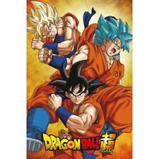 Poster dragon ball usato  Guidonia Montecelio