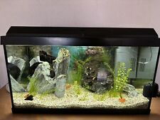 Juwel aquarium 60 gebraucht kaufen  Ückendorf