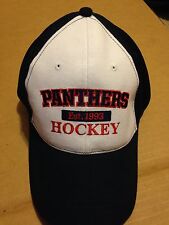 Florida panthers old for sale  Fort Lauderdale