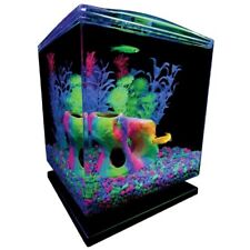Betta glass aquarium for sale  Ontario