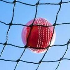 Cricket net 10m for sale  Shipping to Ireland