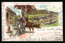 Litografía Birresborn, fuente mineral i. d. vulk. Eifel 1900  segunda mano  Embacar hacia Argentina