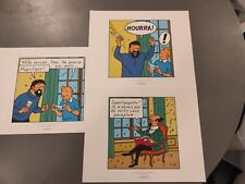 Tintin libris 2011 d'occasion  Salins