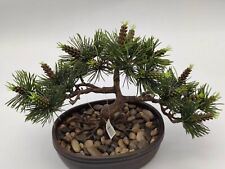 Kunstbaum bonsai topf gebraucht kaufen  Ehringshausen