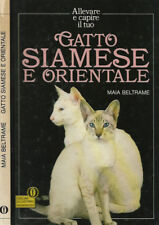 Gatto siamese orientale. usato  Italia