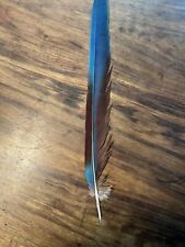 eagle feather for sale  Shipping to Ireland