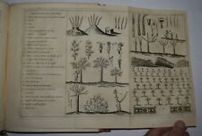 Agricoltura fig. 1751 usato  Arezzo
