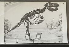 Tyrannosaurus rex postcard for sale  BRIDGWATER