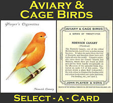 Player aviary cage for sale  KEIGHLEY