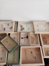 Large collection bugs for sale  REDRUTH