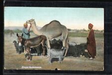 Tiere kamel esel gebraucht kaufen  Bad Bevensen