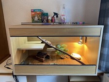 bearded dragon starter kit for sale bearded dragon starter kit for sale HENLEY-IN-ARDEN
