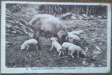 Carte postale ancienne d'occasion  Chasseneuil-du-Poitou