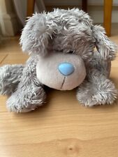 Tatty teddy puppy for sale  SHEFFORD