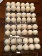 easter egg shells for sale  Atlanta