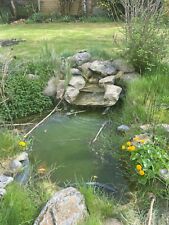 Preformed fish pond for sale  BRAINTREE