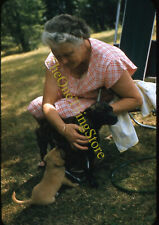 Older woman puppy for sale  Prairie Village